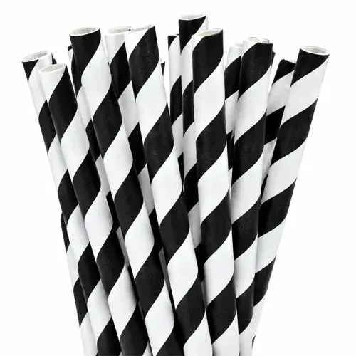 Black Striped Paper Smoothie Straws (9MM x 23CM)