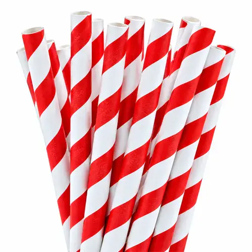 Red Striped Paper Smoothie Straws (9MM x 23CM)